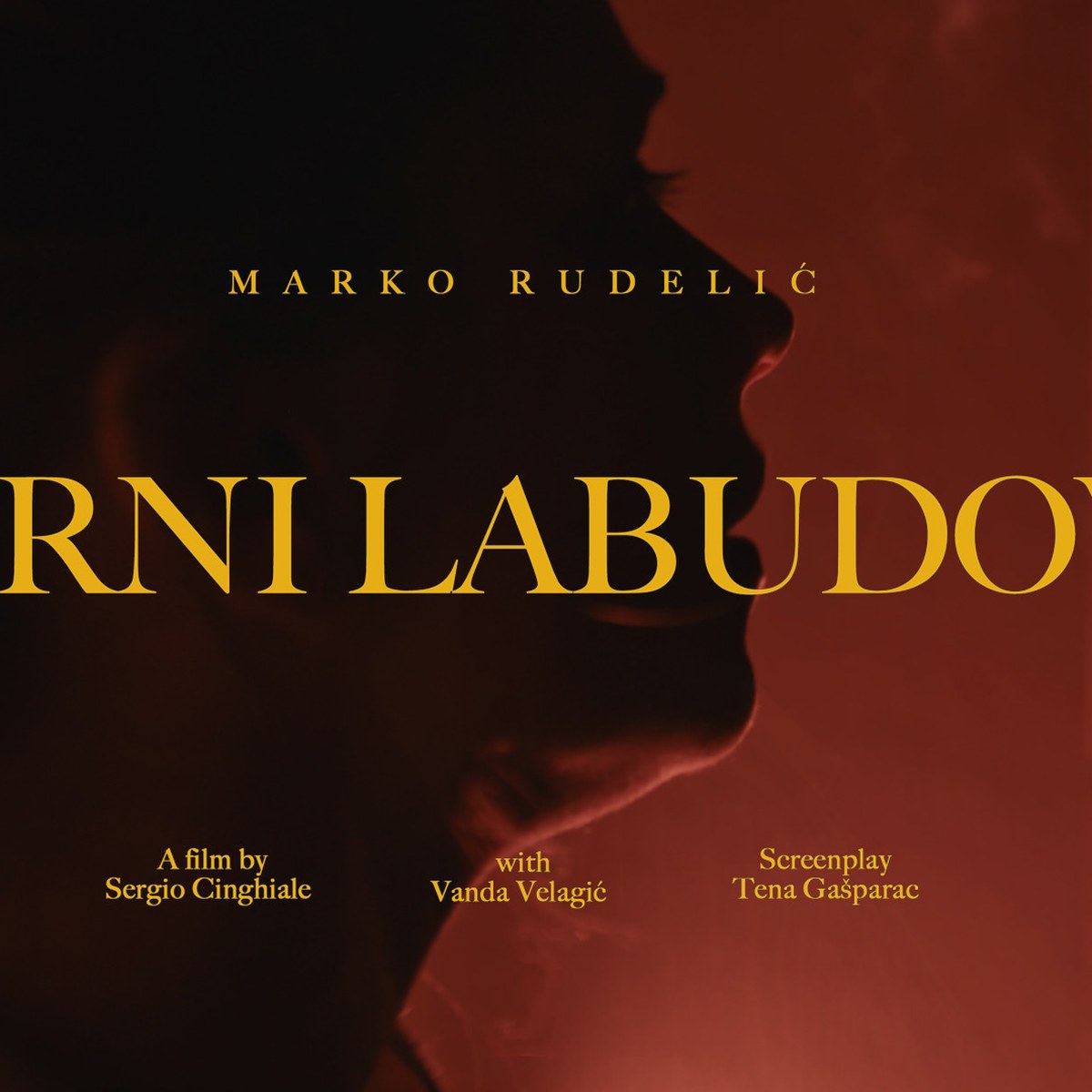 Marko Rudelić - Crni labudovi (Dallas Records 2026)